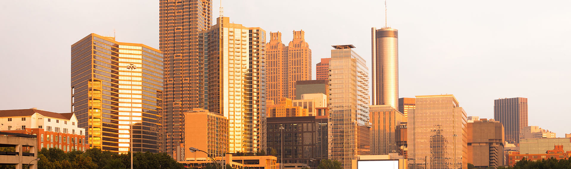 Investment Consultant